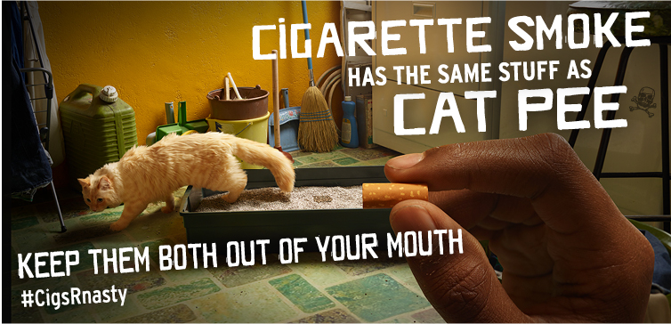 Cigarettes have the same stuff as cat pee in them