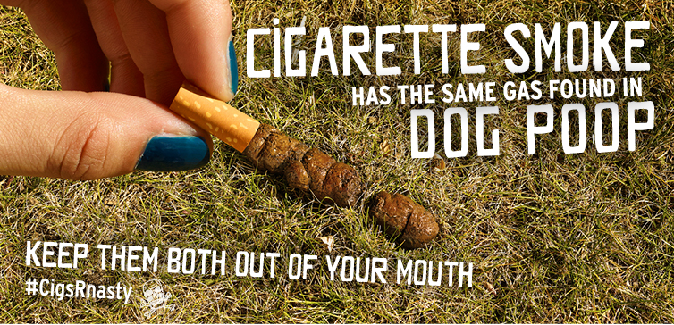 The same gas dog poop is an ingredient in cigarette smoke