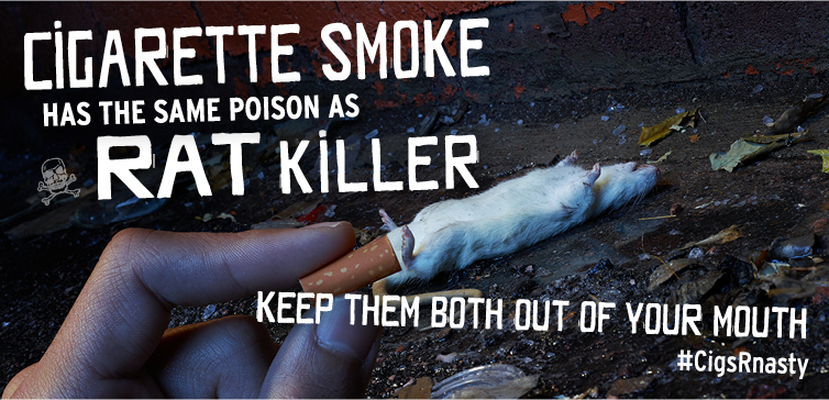 Cigarette smoke contains the same ingredient that people use to kill rats