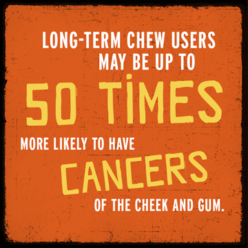 Long term chew users may be 50 times more likely to get cancers of the cheek and gum